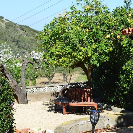 Casa Jiby Apartman Llosa de Camacho Kültér fotó