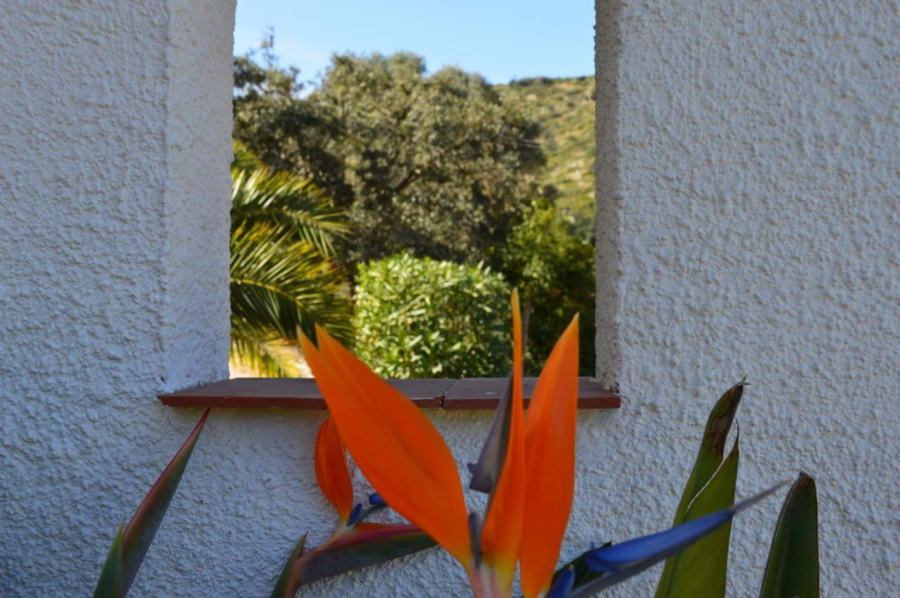 Casa Jiby Apartman Llosa de Camacho Kültér fotó
